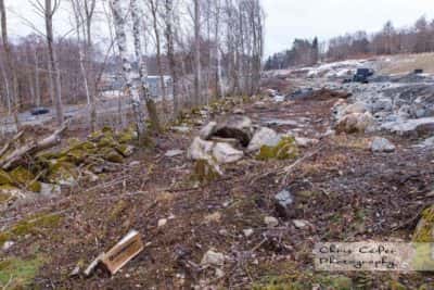 Skövling av Göteborgs natur