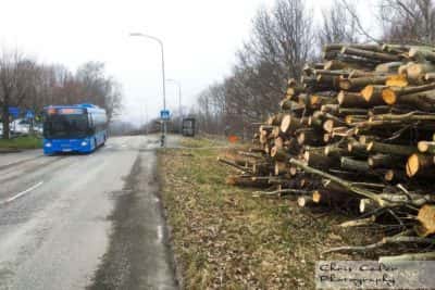 Sisjödal