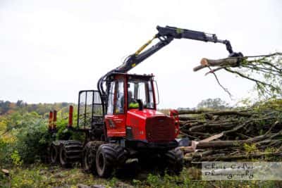 Skövlingen av Välenskogen stoppad