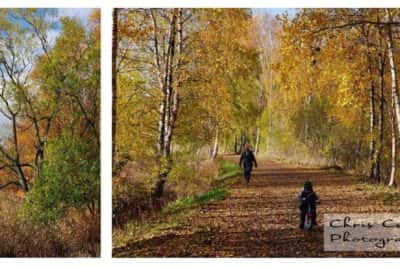 Välens naturreservat