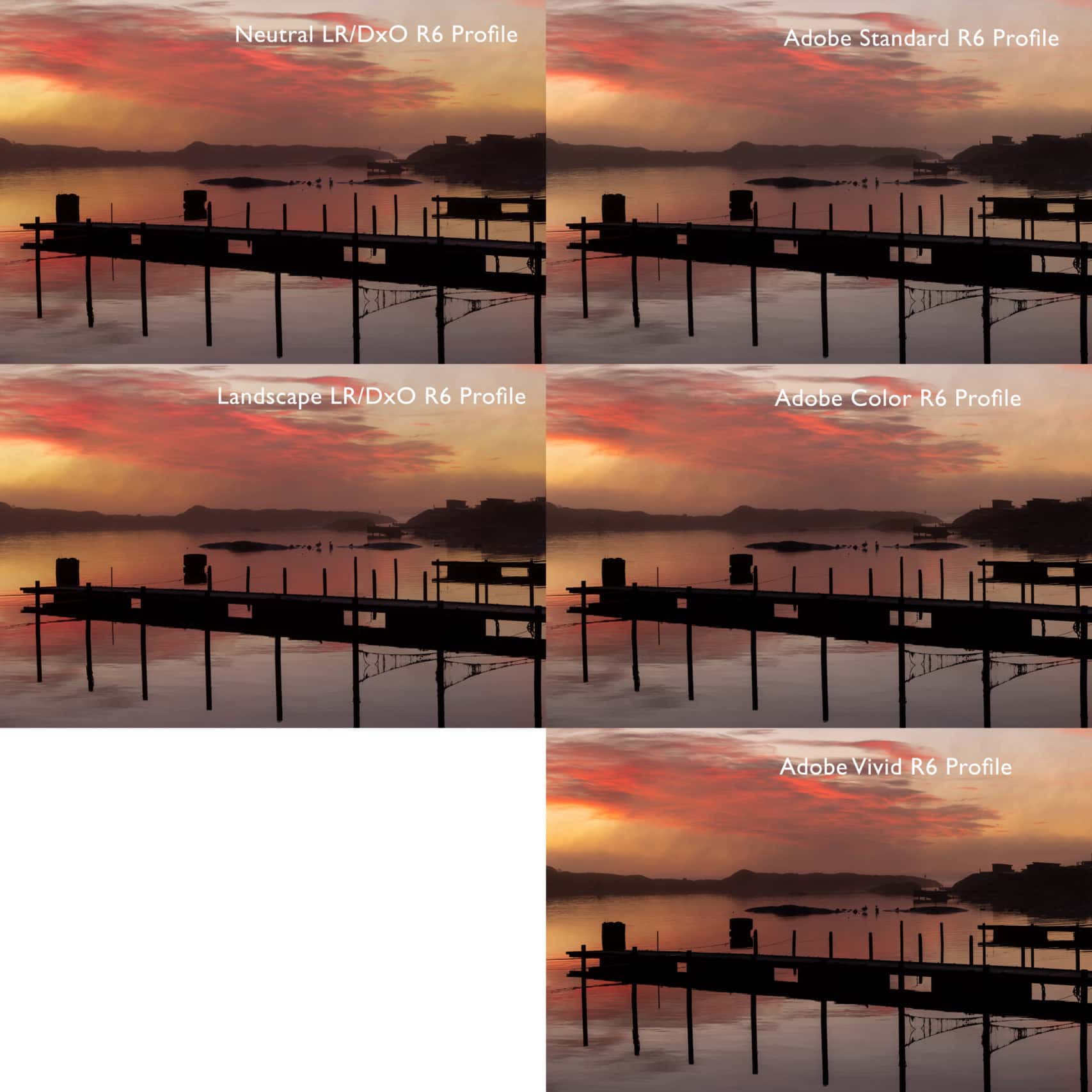 Canon EOS R6 color profiles for Lightroom and DxO Photolab Chris Ceder