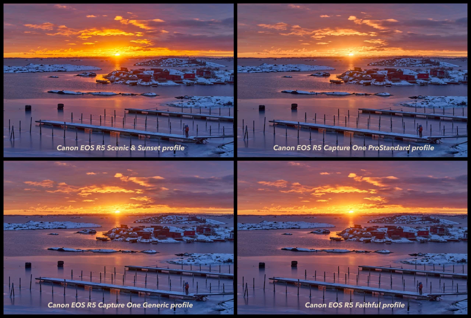 Canon EOS R5 RAW color profiles for Capture One Chris Ceder