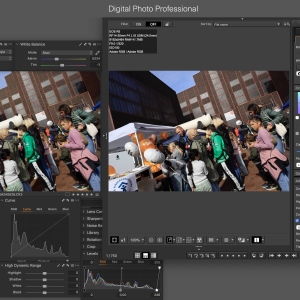 Canon EOS R5 jpeg colors in Capture One: Comparison of the Canon EOS R5 Landscape Picture Style ICC profile for Capture One and the landscape picture style in Canon Digital Photo Professional (DPP)