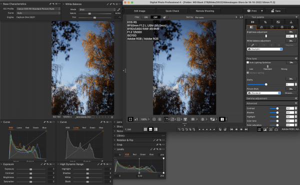Canon R5 jpeg colors in Capture One with one-click: Standard Picture Style ICC profile