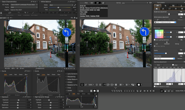 Canon EOS R1 landscape picture style ICC profile for Capture One
