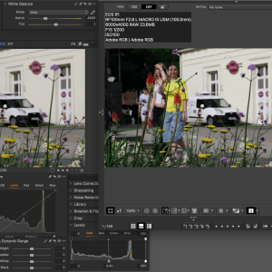 Canon EOS R1 portrait picture style ICC profile for Capture One