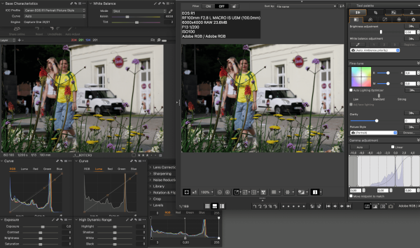 Canon EOS R1 portrait picture style ICC profile for Capture One