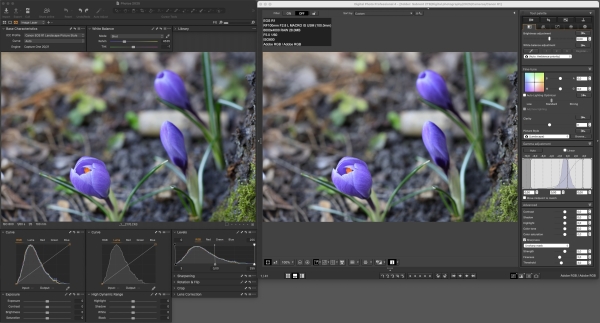 Canon EOS R1 jpeg colors