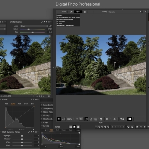 Canon EOS R1 jpeg colors in Capture One