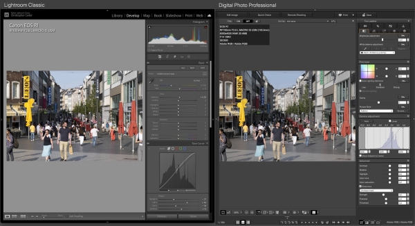 Canon EOS R1 jpeg colors in Lightroom